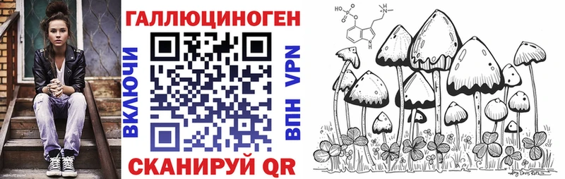 Купить где  Калуга  Псилоцибиновые грибы Psilocybine cubensis 